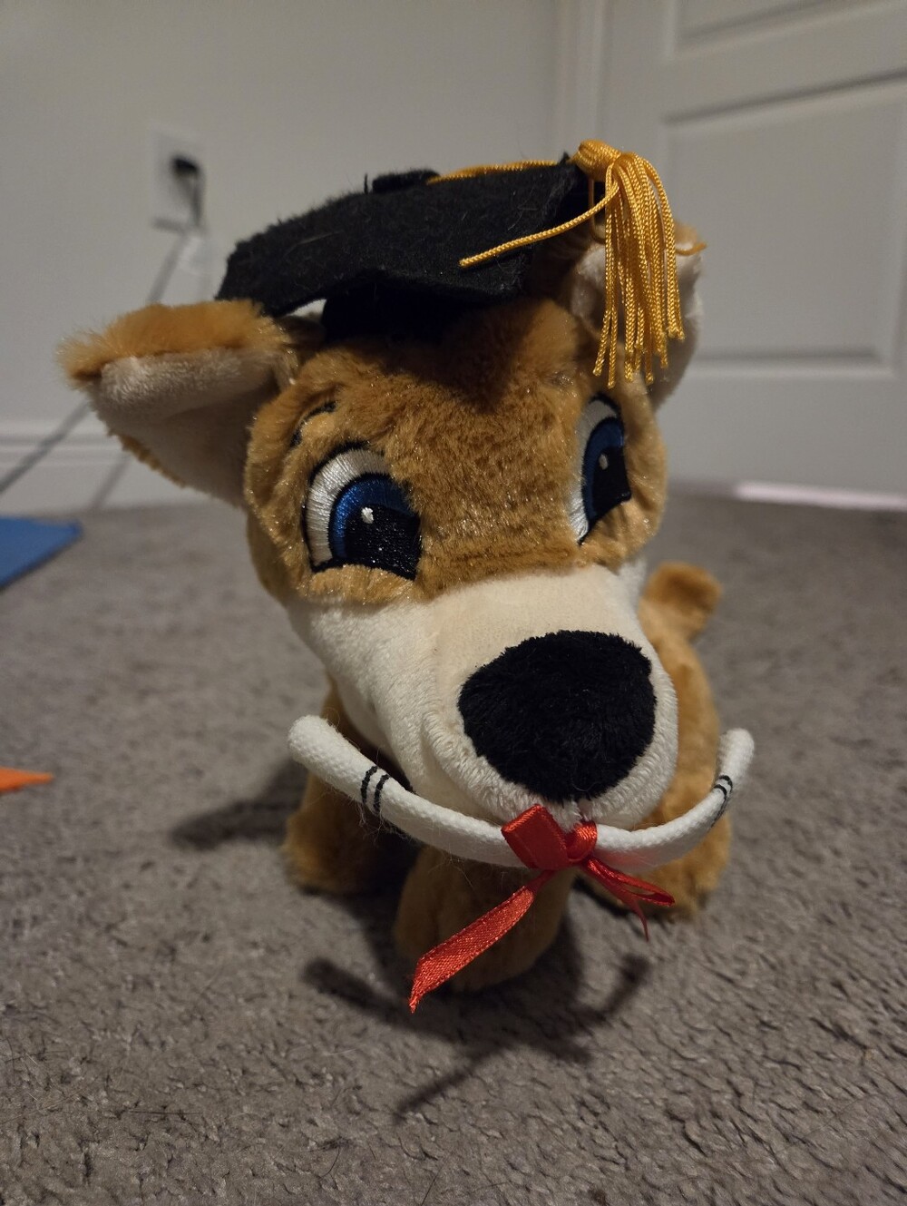 Graduation Dancing And Singing Dog